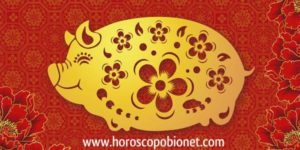 Horóscopo Chino: Año del Cerdo Horoscopo Chino: Cerdo